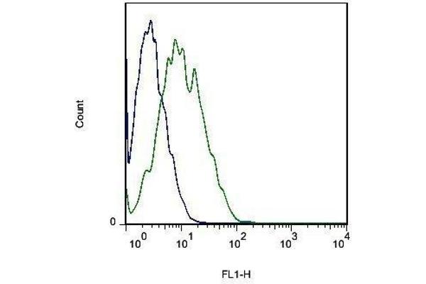 SLC16A2/MCT8 antibody  (AA 101-200)