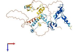 AlphaFold protein structure predicition of Human Recombinant ZNF552 Protein, UniprotID Q9H707 (ZNF552 Protein (AA 1-407) (His tag))
