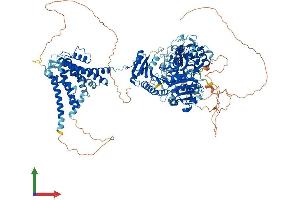 AlphaFold protein structure predicition of Mouse Recombinant Kcnma1 Protein, UniprotID Q08460