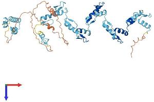 AlphaFold protein structure predicition of Human Recombinant ZNF682 Protein, UniprotID O95780 (ZNF682 Protein (AA 1-498) (His tag))