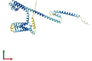 Protein Structure (PS) image for Cation Channel, Sperm Associated 3 (CATSPER3) (AA 1-395) protein (His tag) (ABIN7558387)