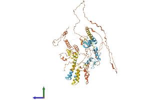 AlphaFold protein structure predicition of Mouse Recombinant Hic1 Protein, UniprotID Q9R1Y5 (HIC1 Protein (AA 1-733) (His tag))