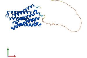 AlphaFold protein structure predicition of Mouse Recombinant Cybrd1 Protein, UniprotID Q925G2