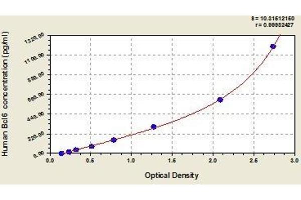 BCL6 ELISA Kit