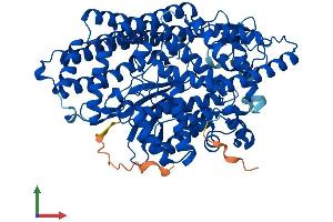 Protein Structure (PS) image for Thimet Oligopeptidase 1 (THOP1) (AA 1-689) protein (His tag) (ABIN7544436)