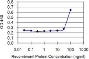 Detection limit for recombinant GST tagged ETV3 is 10 ng/ml as a capture antibody. (ETV3 antibody  (AA 1-143))