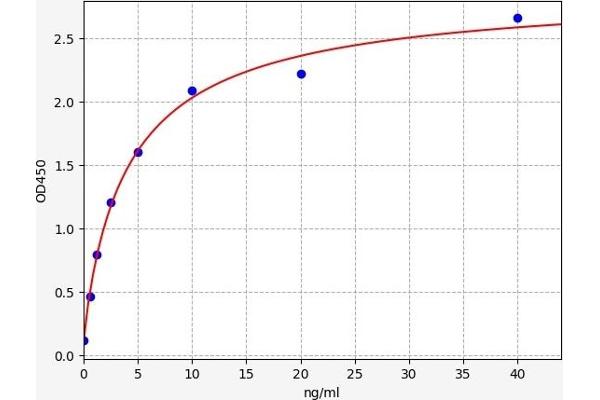 PDXP ELISA Kit