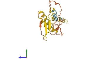AlphaFold protein structure predicition of Human Recombinant FAM86C2P Protein, UniprotID A6NEL3 (FAM86C2P Protein (AA 1-165) (His tag))
