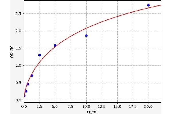 ATP2A1/SERCA1 ELISA Kit