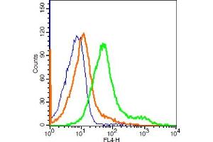 MCF-7 cells probed with MCT1 Polyclonal Antibody, ALEXA FLUOR® 647 Conjugated (bs-10249R-A647) at 1:100 for 30 minutes compared to control cells (blue) and isotype control (orange). (MCTS1 antibody  (AA 251-350) (Alexa Fluor 647))