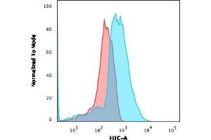 Flow Cytometric Analysis of PFA-fixed HEK293 cells using CD137L-Monospecific Mouse Monoclonal Antibody (CD137L/1547) followed by goat anti-Mouse IgG-CF488 (Blue); Isotype Control (Red). (TNFSF9 antibody)
