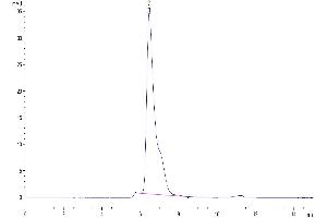 Size-exclusion chromatography-High Pressure Liquid Chromatography (SEC-HPLC) image for CD248 Molecule, Endosialin (CD248) (AA 18-695) protein (His tag) (ABIN7275689)