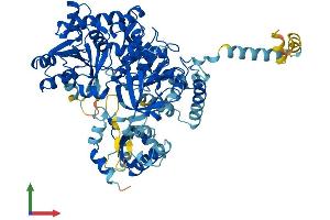Protein Structure (PS) image for Acyl-CoA Synthetase Long-Chain Family Member 6 (ACSL6) (AA 1-697) protein (His tag) (ABIN7560028)