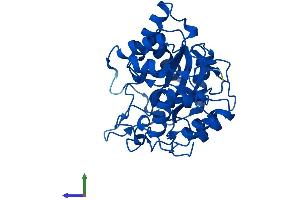 AlphaFold protein structure predicition of Mouse Recombinant Akr1d1 Protein, UniprotID Q8VCX1 (AKR1D1 Protein (AA 1-325) (His tag))