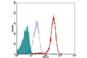 TRF2 Flow Cytometry Flow Cytometry of Mouse Anti-TRF2 antibody. (TRF2 antibody)