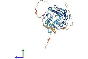 Protein Structure (PS) image for Zinc Finger Protein 460 (ZNF460) (AA 1-562) protein (His tag) (ABIN7545555)