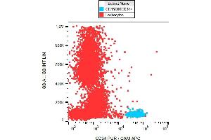 Flow cytometry analysis (surface staining) of CD34+ cells in human peripheral blood with anti-CD34 (581) purified. (CD34 antibody)