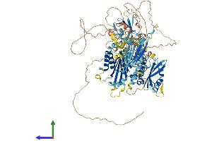 AlphaFold protein structure predicition of Mouse Recombinant Intu Protein, UniprotID Q059U7