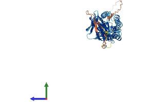 Protein Structure (PS) image for Transmembrane Protein 8B (TMEM8B) (AA 1-472) protein (His tag) (ABIN7562035)