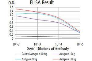 Black line: Control Antigen (100 ng),Purple line: Antigen (10 ng), Blue line: Antigen (50 ng), Red line:Antigen (100 ng) (Surface Antigen 2B antibody  (AA 1-130))