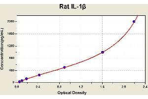 Diagramm of the ELISA kit to detect Rat 1 L-1betawith the optical density on the x-axis and the concentration on the y-axis. (IL-1 beta ELISA Kit)
