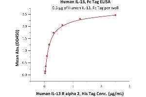 Immobilized Human IL-13, Fc Tag (ABIN6923159,ABIN6938841) at 5 μg/mL (100 μL/well) can bind Human IL-13 R alpha 2, His Tag (ABIN6923153,ABIN6938872) with a linear range of 0. (IL-13 Protein (AA 21-132) (Fc Tag))