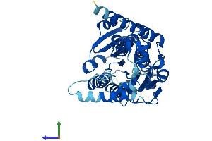 AlphaFold protein structure predicition of Human Recombinant HSD3B2 Protein, UniprotID P26439 (HSD3B2 Protein (AA 1-372) (His tag))