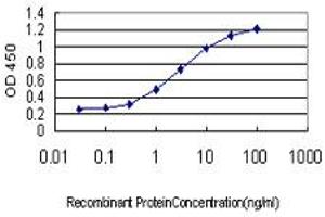 Detection limit for recombinant GST tagged ZHX1 is approximately 0. (ZHX1 antibody  (AA 731-829))