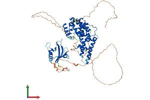 Protein Structure (PS) image for Ral GEF with PH Domain and SH3 Binding Motif 1 (RALGPS1) (AA 1-585) protein (His tag) (ABIN7561949)