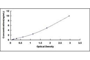 Typical standard curve (TRKB ELISA Kit)