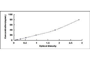 Typical standard curve (PRB2 ELISA Kit)