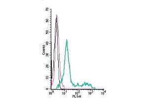 Cell surface detection of TRPC6 by direct flow cytometry in live intact human  promyelocytic leukemia cells: + Rabbit IgG isotype control-FITC.