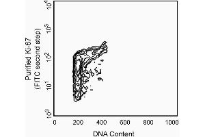 Profile of peripheral MOLT-4 cells analyzed on a FACScan (BDIS, San Jose, CA) (Ki-67 antibody)