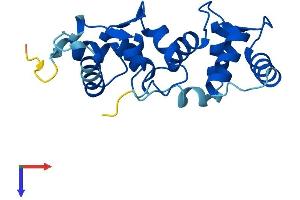 AlphaFold protein structure predicition of Human Recombinant CIB4 Protein, UniprotID A0PJX0 (CIB4 Protein (AA 1-185) (His tag))