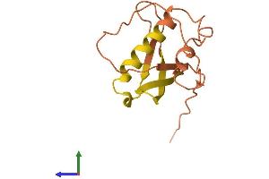 AlphaFold protein structure predicition of Human Recombinant C12orf76 Protein, UniprotID Q8N812 (C12ORF76 Protein (AA 1-135) (His tag))