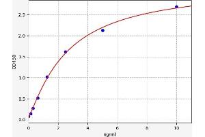 TRIB3 ELISA Kit