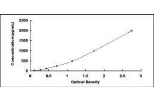 ELISA image for Interleukin 1 Receptor, Type I (IL1R1) ELISA Kit (ABIN415617)