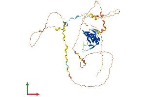 Protein Structure (PS) image for Cytokine-Dependent Hematopoietic Cell Linker (CLNK) (AA 1-435) protein (His tag) (ABIN7561827)