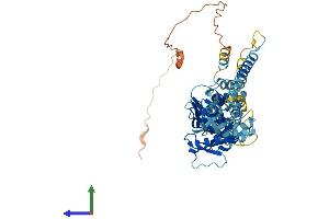 AlphaFold protein structure predicition of Human Recombinant GTPBP6 Protein, UniprotID O43824