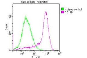 Overlay histogram showing MCF-7 cells stained with ABIN7147325 (red line) at 1:400. (MCAM antibody  (AA 50-646))
