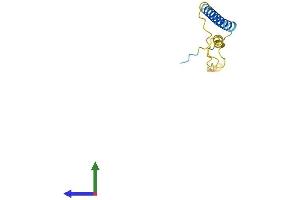 AlphaFold protein structure predicition of Mouse Recombinant Smagp Protein, UniprotID Q99KC7