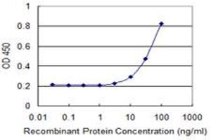 Detection limit for recombinant GST tagged RBM8A is 3 ng/ml as a capture antibody. (RBM8A antibody  (AA 1-174))