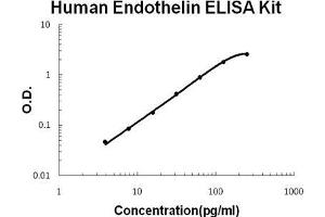 Human Endothelin PicoKine ELISA Kit standard curve (Endothelin 1 ELISA Kit)