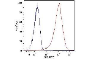 Surface staining of NALM-6 human pre-B cell leukemia cell line with anti-human CD9 (MEM-61) FITC. (CD9 antibody)