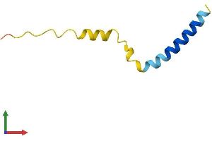 Protein Structure (PS) image for Lens Epithelial Protein (LENEP) (AA 1-61) protein (Fc Tag) (ABIN7556315)