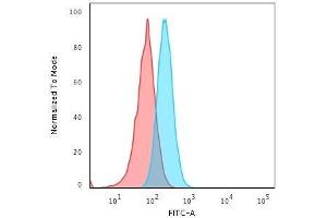 Flow Cytometric Analysis of Raji cells. (HLA-A antibody)