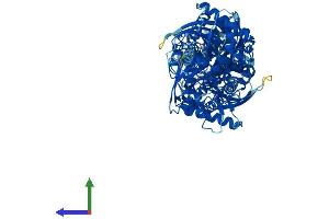 AlphaFold protein structure predicition of Human Recombinant HKDC1 Protein, UniprotID Q2TB90