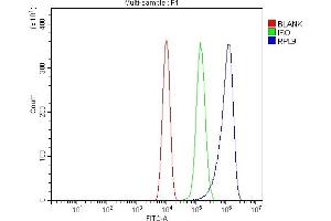 Flow Cytometry analysis of RAW264. (RPL9 antibody  (AA 1-192))