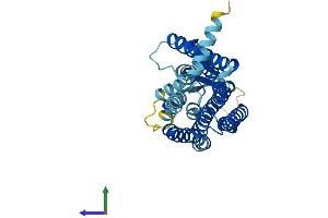 AlphaFold protein structure predicition of Human Recombinant OR1B1 Protein, UniprotID Q8NGR6 (OR1B1 Protein (AA 1-318) (His tag))