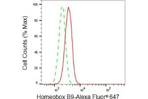 Flow cytometric analysis of Homeobox B9 expression in HepG2 cells using Homeobox B9 antibody (ABIN7798993), 1:2,000).
